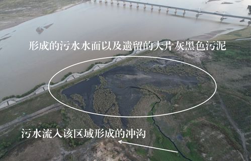 威胁黄河安澜,这两地成为中央生态环保督察负面案例